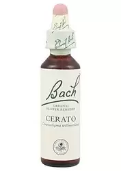Cerato - Ceratostigma