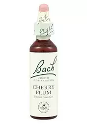 Cherry Plum - Cerasífera