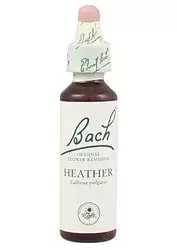 Heather - Brezo