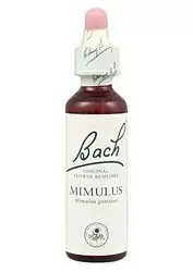 Mimulus - Mímulo