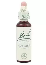 Mustard - Mostaza
