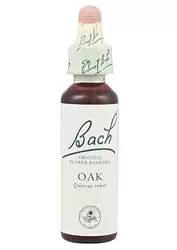 Oak - Roble