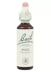Pine - Pino Silvestre