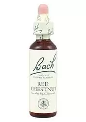 Red Chesnut - Castaño Rojo