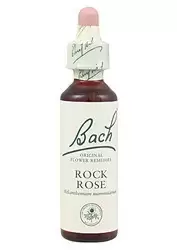 Rock Rose - Heliantemo