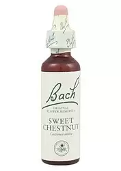 Sweet Chesnut - Castaño Dulce