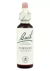 Vervain - Verbena