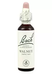 Walnut - Nogal