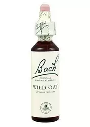 Wild Oat - Avena Silvestre