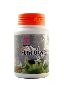 Flatocar Plus