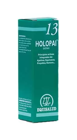 Holopai - 13
