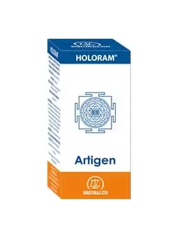 HoloRam - Artigen
