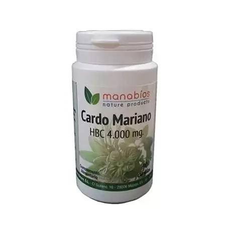 Cardo Mariano HBC