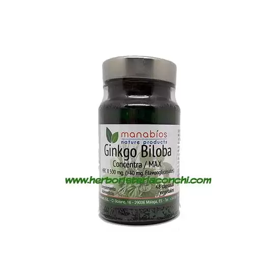 Ginkgo Biloba - Concentra / MAX