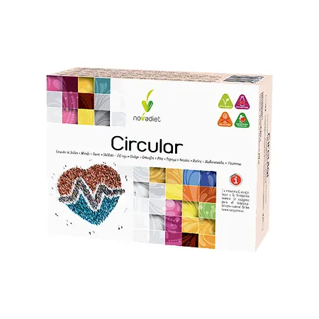 Circular - Viales