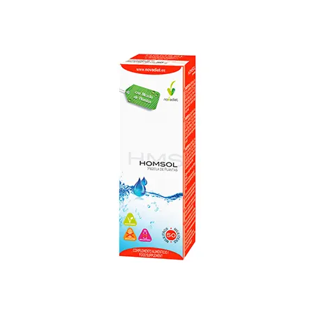 Homsol