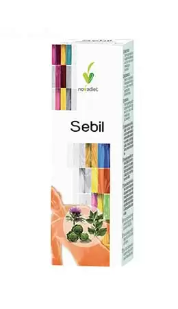 Sebil