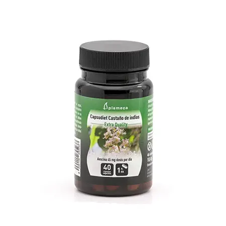 Castaño de Indias - Capsudiet