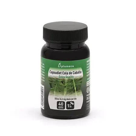 Cola de Caballo - Capsudiet