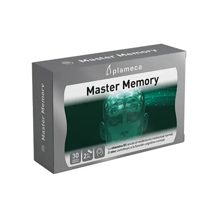 Master Memory