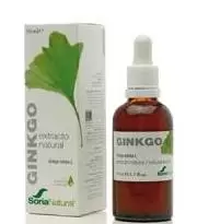 Extracto de Ginkgo Biloba