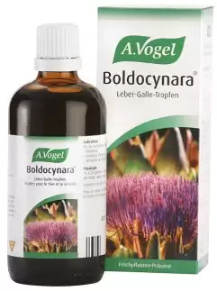 Boldocynara