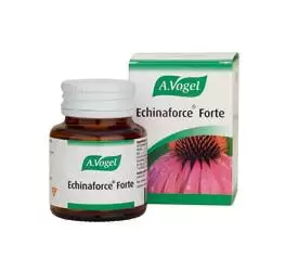 Echinaforce Forte