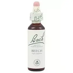 Beech - Haya