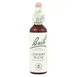 Cherry Plum - Cerasífera