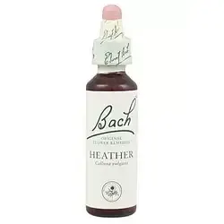 Heather - Brezo