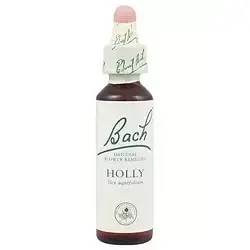 Holly - Acebo
