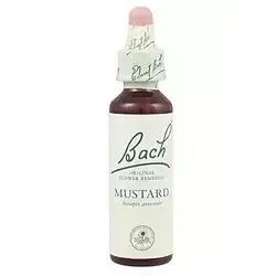 Mustard - Mostaza