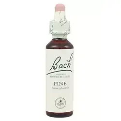 Pine - Pino Silvestre
