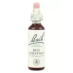 Red Chesnut - Castaño Rojo