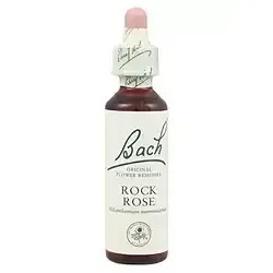 Rock Rose - Heliantemo