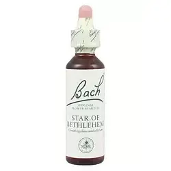 Star of Bethlehem - Leche de Gallina