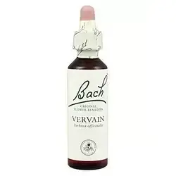 Vervain - Verbena