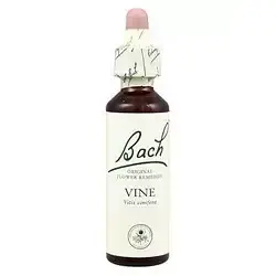 Vine - Vid