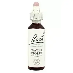 Water Violet - Violeta de Agua