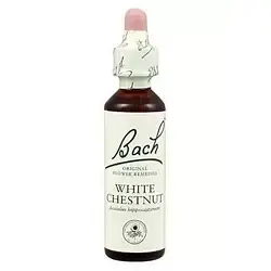 White Chesnut - Castaño de Indias