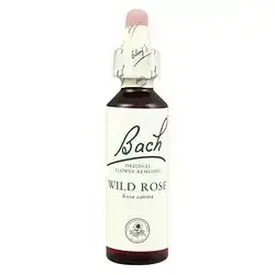 Wild Rose - Rosa Silvestre