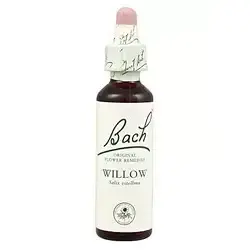 Willow - Sauce