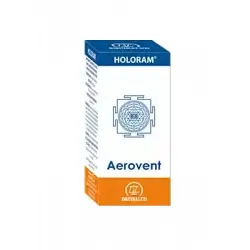 HoloRam - Aerovent