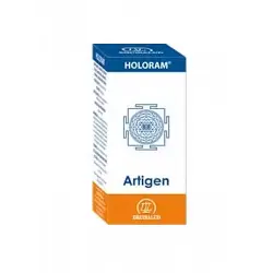 HoloRam - Artigen