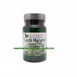 Cardo Mariano - Concentra / MAX