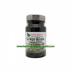 Ginkgo Biloba - Concentra / MAX
