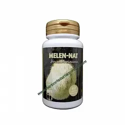 Melen-Nat