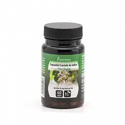 Castaño de Indias - Capsudiet