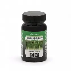 Cola de Caballo - Capsudiet