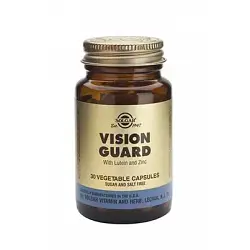 Vision Guard